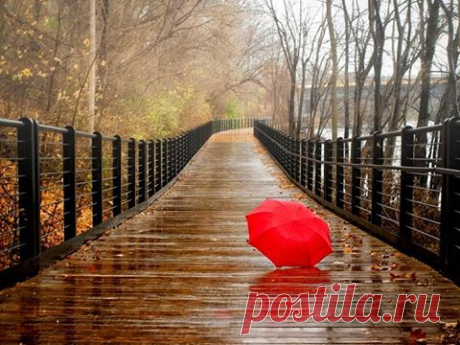 (8) Facebook