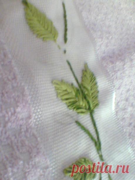 brazilian ambroidery