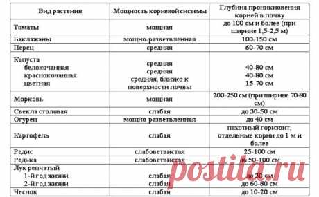 Сколько воды нужно каждому овощу