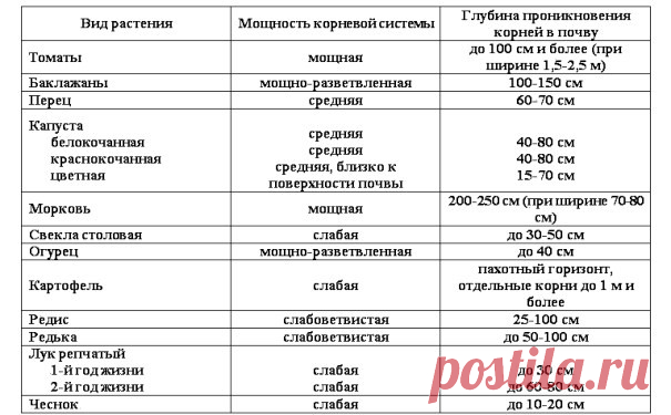 Сколько воды нужно каждому овощу