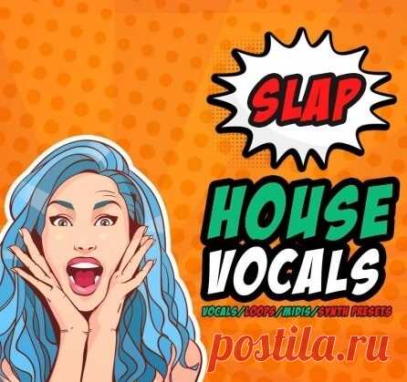 HighLife Samples Slap House Vocals [WAV, MiDi, Synth Presets] free download mp3 music 320kbps