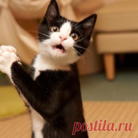 Актуальная тема!