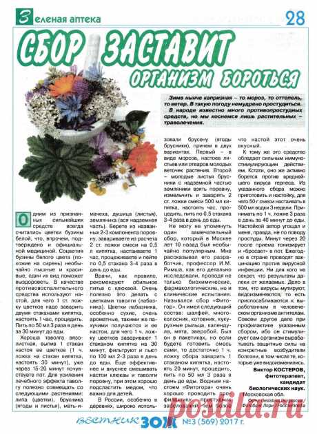 Растительный сбор от простуды