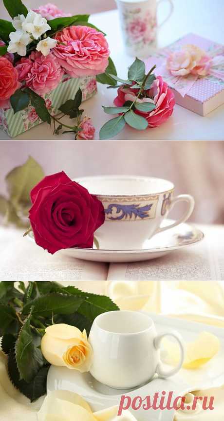 Композиции с розами (36 фото) » Картины, художники, фотографы на Nevsepic