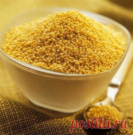 Пшено очищает почки и нормализует высокое давление. 

* Прорастите пшено. 
Промытые зернышки слегка залейте чистой водой, накройте марлей и оставьте до тех пор, пока не проклюнутся ростки, для этого требуется 2-3 дня. Проросшие зерна промойте, обсушите и варите на воде как обычную пшенную кашу. Ешьте вместе с клюквой каждое утро, не добавляя ни соли, ни сахара, ни масла. Почки быстро очищаются. Придется набраться терпения и каждый день съедать порцию этой целебной каши, но...