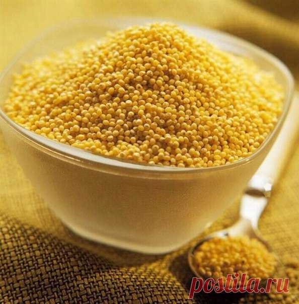 Пшено очищает почки и нормализует высокое давление. 

* Прорастите пшено. 
Промытые зернышки слегка залейте чистой водой, накройте марлей и оставьте до тех пор, пока не проклюнутся ростки, для этого требуется 2-3 дня. Проросшие зерна промойте, обсушите и варите на воде как обычную пшенную кашу. Ешьте вместе с клюквой каждое утро, не добавляя ни соли, ни сахара, ни масла. Почки быстро очищаются. Придется набраться терпения и каждый день съедать порцию этой целебной каши, но...