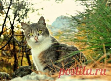 Последние деньки осени