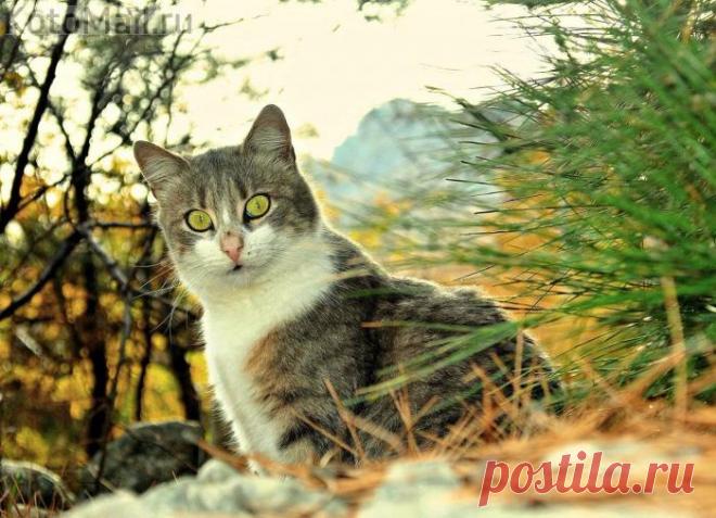 Последние деньки осени