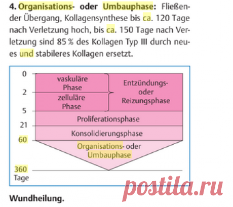 Organisations- oder Umbauphase