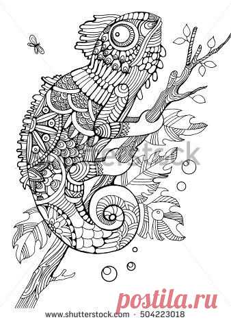 (6) Pinterest