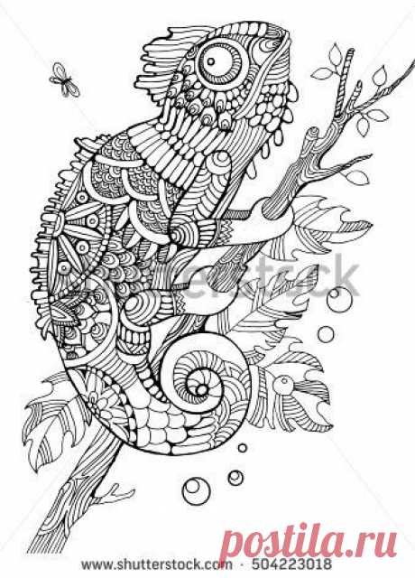 (6) Pinterest