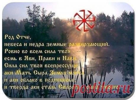 (55) Одноклассники