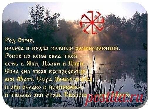 (55) Одноклассники