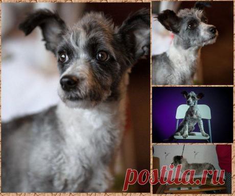 Объявления Екатеринбург