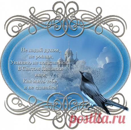 " АНГЕЛЫ НАШИ..." и муз.плеер с чудесной песней "Ангел-Хранитель мой..."