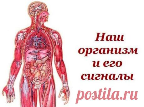 Интересные новости