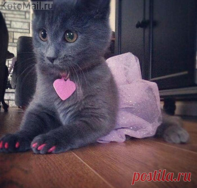 Я всегда выгляжу как принцесса!
