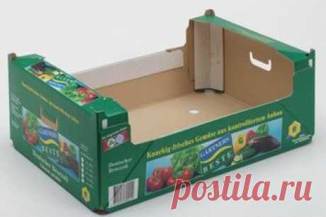 Packaging Design | IPS Advice
