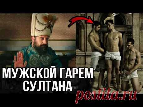 Самый главный мужской гарем в османской империи. Кто там жил и как?