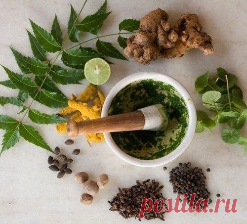 Эликсиры молодости и долголетия*