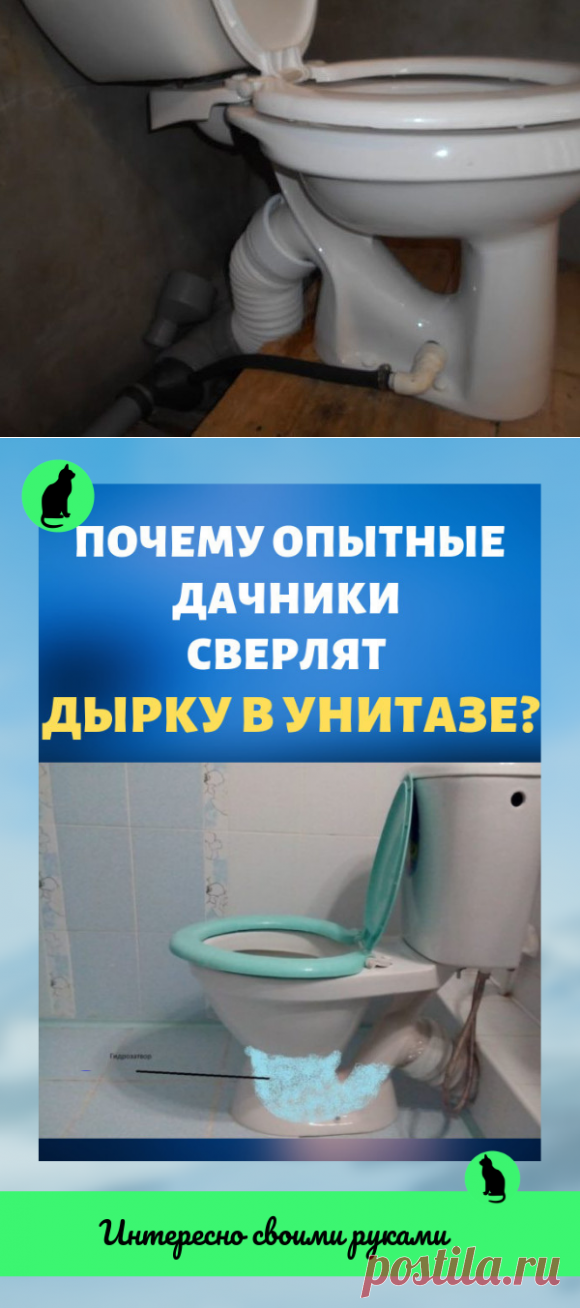 Почему опытные дачники сверлят дырку в унитазе?
