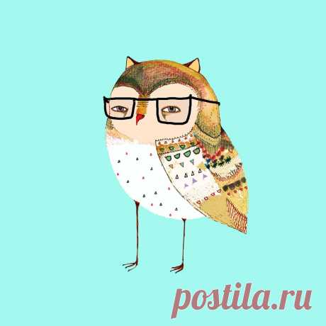 illustration art, illustrator for hire, illustration, artist, freelance, owl, animal art, nature, hipster, kids decor, children's illustration, wall art, wall decor, art prints, poster, logo design, children's book, digital, greeting cards, pattern design, - Ashley Percival Illustration