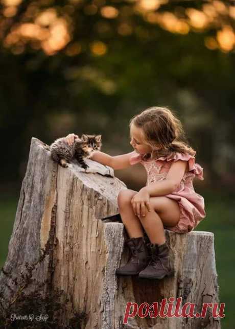 Caturday – Google+