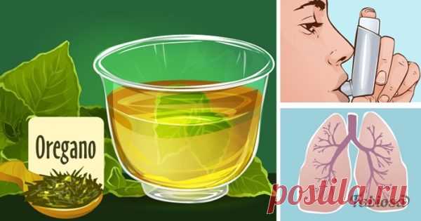 Излечите свои легкие с помощью этого чая: кашель, астма, бронхит, эмфизема, инфекции! — ХОЗЯЮШКА24