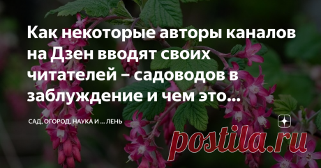 Как некоторые авторы каналов на Дзен вводят своих читателей – садоводов в заблуждение и чем это чревато. На примере смородины Я давно замечаю, что некоторые каналы авторы, которых позиционируют себя как знатоки и эксперты в области садоводства и огородничества, допускают некоторые ляпы и неточности, а часто и врут напрямую. Я согласен, что многие ошибаются, но называть садовую землянику клубникой, это нонсенс. Начнем с того что у земляники все цветки обоеполые, а у клубник...