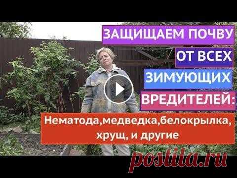 ИЗБАВЛЯЕМ ПОЧВУ ОТ ВСЕХ ЗИМУЮЩИХ ВРЕДИТЕЛЕЙ! ЭФФЕКТИВНО И НАДЕЖНО! Я рада всех приветствовать на канале Садовый Гид! Друзья, сейчас тот самый период, когда мы активно готовим грядки к следующему сезону. Мы собрали уро...