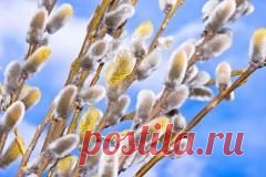 Сегодня 24 апреля отмечается 