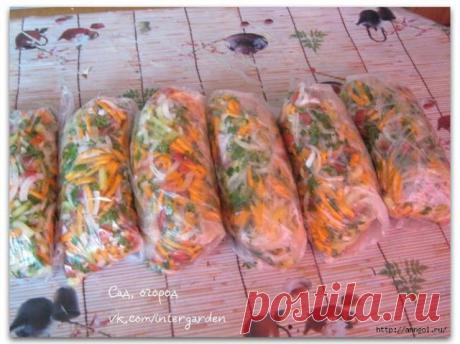 Каждое лето-осень делаю эту заморозку. Кладу её во все первые блюда, гарниры, мясо, рыбу, да много куда. - Episode