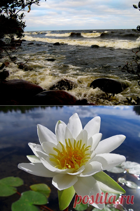 Яндекс.Фотки