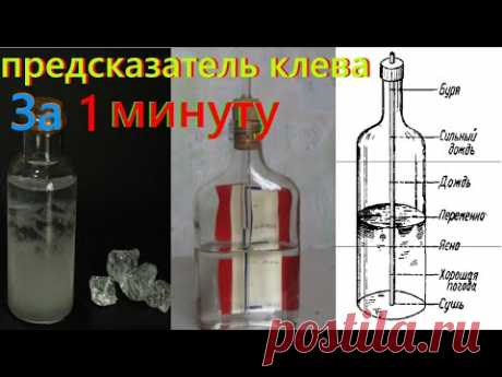Супер Предсказатель Клева. За 1 минуту. Лайфхаки для рыбалки. советы для рыбалки
