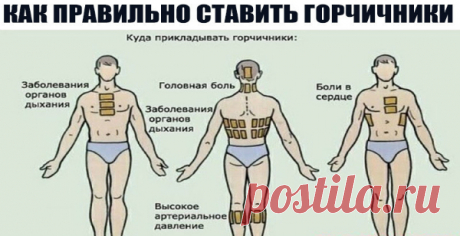 КАК ПРАВИЛЬНО СТАВИТЬ ГОРЧИЧНИКИ? Ох, уж, эти горчичники! Наверняка, каждый из нас ещё с детства знает, что если напала простуда, то на грудь и спину накладывают горчичники. Правда, не все знали, что необходимо избегать область сердца, но, думаю, сейчас