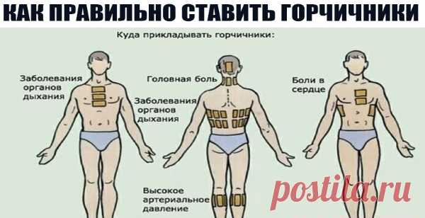 КАК ПРАВИЛЬНО СТАВИТЬ ГОРЧИЧНИКИ? Ох, уж, эти горчичники! Наверняка, каждый из нас ещё с детства знает, что если напала простуда, то на грудь и спину накладывают горчичники. Правда, не все знали, что необходимо избегать область сердца, но, думаю, сейчас