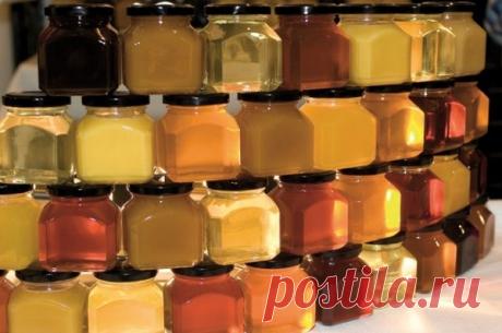 Разновидности меда. От каких болезней помогает каждый сорт меда | Sabonis Mi | Яндекс Дзен
