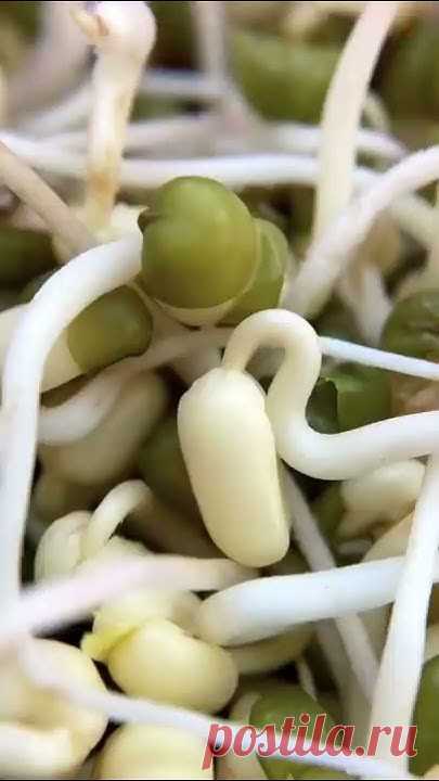 Жду вас на своих каналах 😎:Дзен: https://dzen.ru/id/5b941a1d06d85100aeeea17cТелеграм: https://t.me/yanaoedeИнстаграм: https://instagram.com/yanaoede?igshid=...