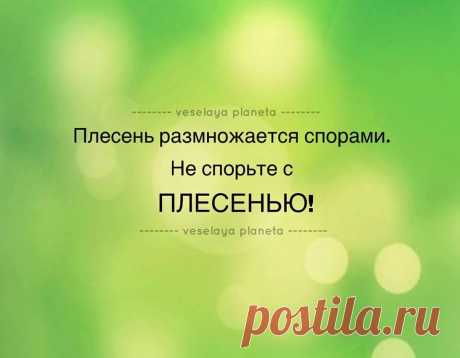 (106) Facebook