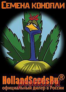 Возможен ли всемирный заговор против конопли? Мы разобрались - увы, Да!
 
Существует ли заговор против конопли? У меня давно имеются большие подозрения, что ситуация с коноплей далеко не так проста, как представляют СМИ. Слишком уж похоже на обычное промывание мозгов населению. Если попытаться разобраться самостоятельно, с чувством, толком, с расстановкой всех "за и против" по своим местам, то выясняется множество любопытнейших подробностей.
 
HollandSeedsRu !