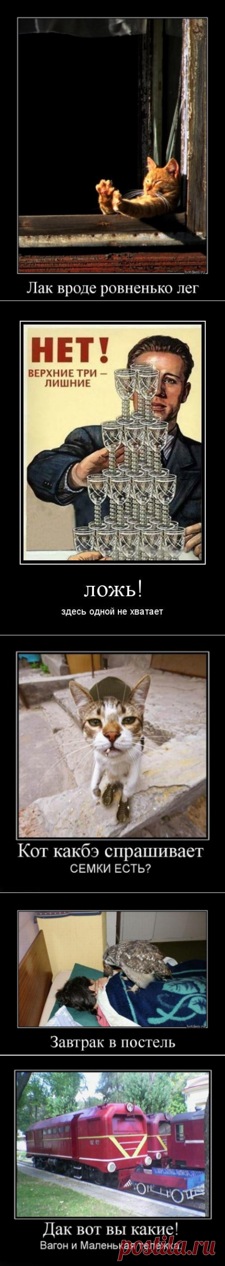 Демотиваторы для настроения (15 шт)