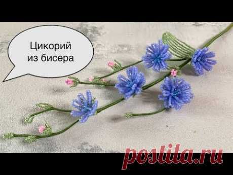 Цикорий из бисера. Цветы из бисера.