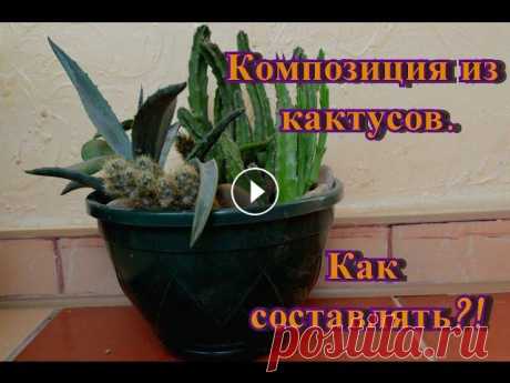 Композиция из суккулентов и кактусов.  Как я составляю композицию!? #Кактусыисуккуленты - колючие красавцы! Но чтобы они чувствовали себя хорошо в вашем доме, важно им создать благоприятные условия. Красиво смотрится #...