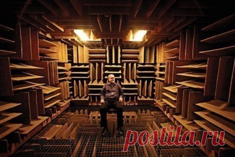 Самое тихое место в мире сведет вас с ума - Путешествуем вместе