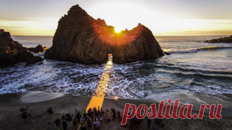 Хочу стать птицей. Ну или хотя бы дроном