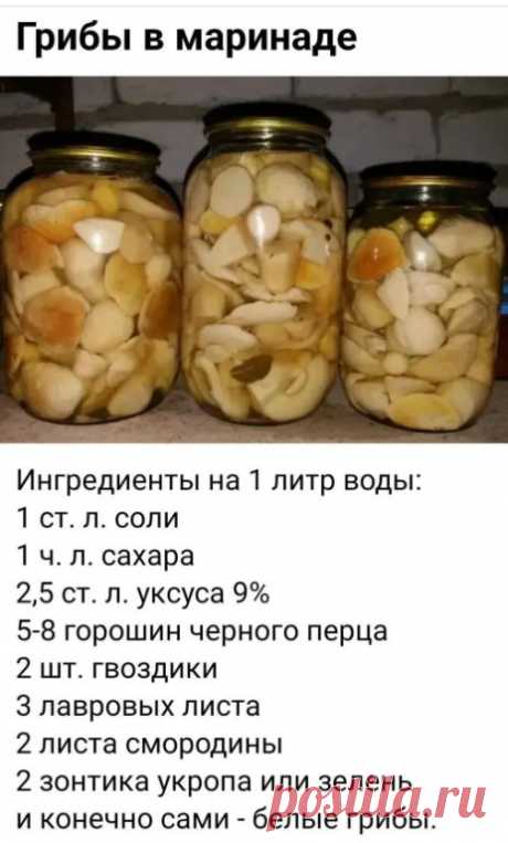Приготовление:
1. Грибы тщательно очистить от лесного мусора. Крупные грибочки разрезать на кусочки и промыть в нескольких водах.

2. Выложить подготовленные грибы в кастрюлю, залить холодной водой и посолить.

3. Варить белые грибы, на среднем огне и при слабом кипении 20 минут.
Затем грибы откинуть в дуршлаг и промыть.

4. Промытые грибы выложить снова в кастрюлю и залить чистой водой.
Из расчета сколько взяли воды добавить соль, сахар, перец горошком, лавровый лист, зон...