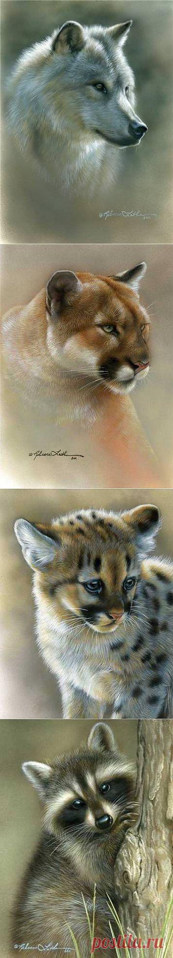 Животные. Художница Ребекка Латам - Галерея искусств - Для души - Статьи - Школа радости