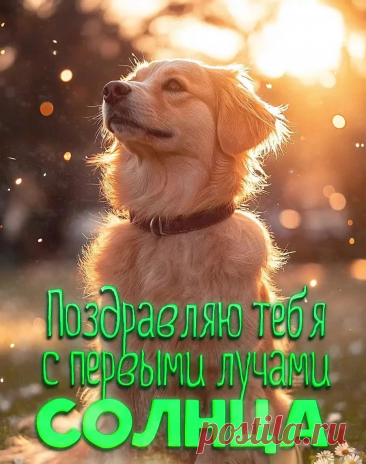 Картинка доброе утро с собакой