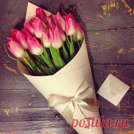 rosas