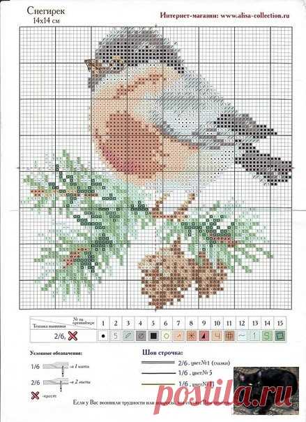 Gallery.ru / Фото #10 - Птицы на 1 листе - berbera53